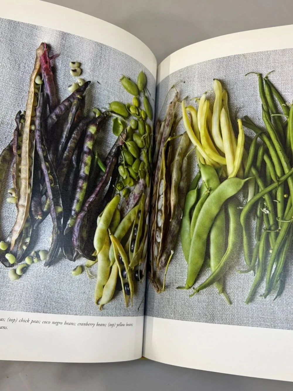 Alice Waters In The Green Kitchen Cookbook HC Techniques Learn by Heart 1st Ed